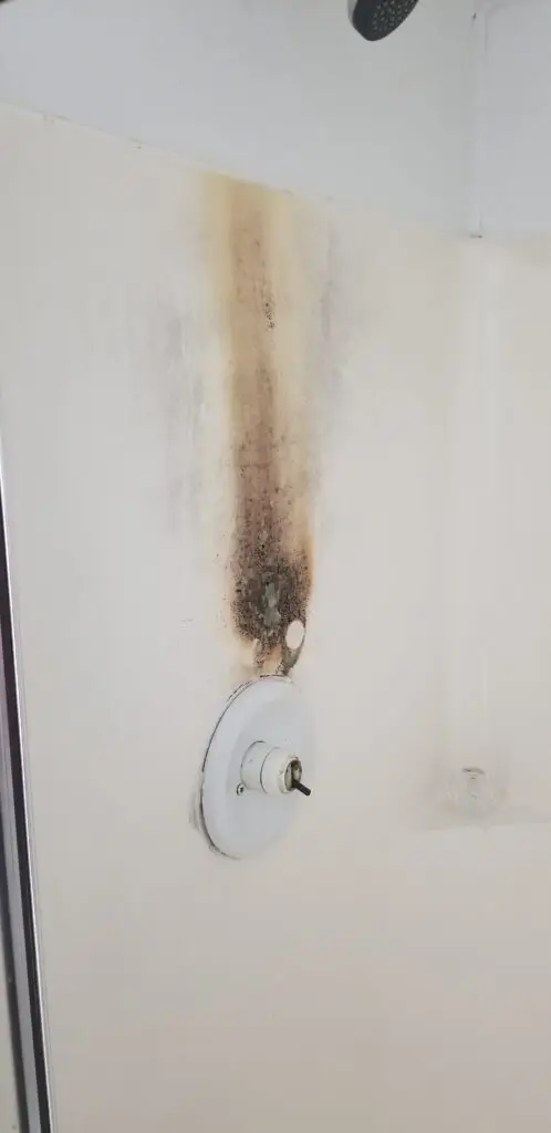 Dirty shower wall